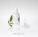 SIMPLY ZEN - EQUILIBRIUM