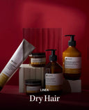 INSIGHT - DRY HAIR