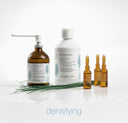 SIMPLY ZEN - DENSIFYING