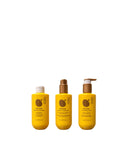 KIT SCREEN PURE D’ARGAN – shampoo, conditioner lamellare e maschera setificante