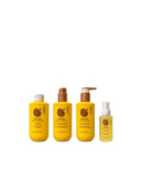 PURE D'ARGAN SCREEN KIT – komplette Aufhellungs- und Seidenpflegeroutine mit Arganöl